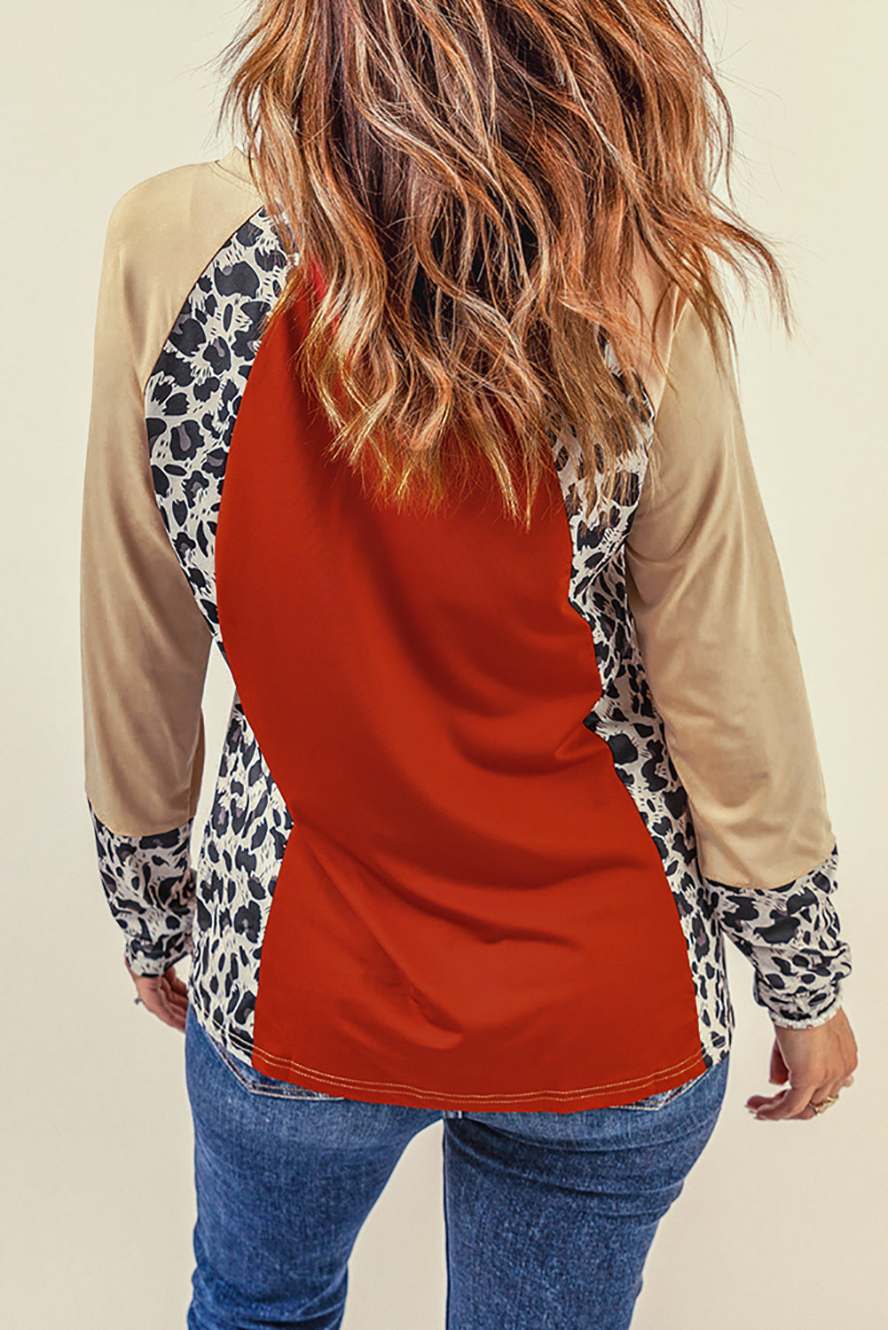 Brown Colorblock Leopard V Neck Long Sleeve Top